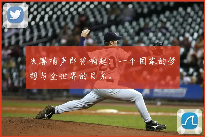 决赛哨声即将响起：一个国家的梦想与全世界的目光。